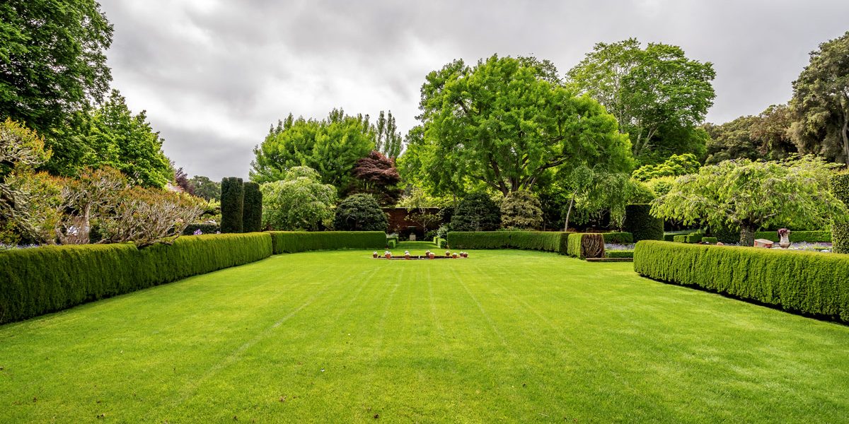 Offerta Servizi di Giardinaggio